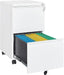 2 Drawer Mobile File Cabinet with Lock,Under Desk Metal Filing Cabinets for Home Office Organizer Letters/Legal/A4(Fully Assembled-White)