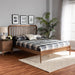Neilan Modern and Contemporary Walnut Brown Finished Wood Queen Size Platform Bed