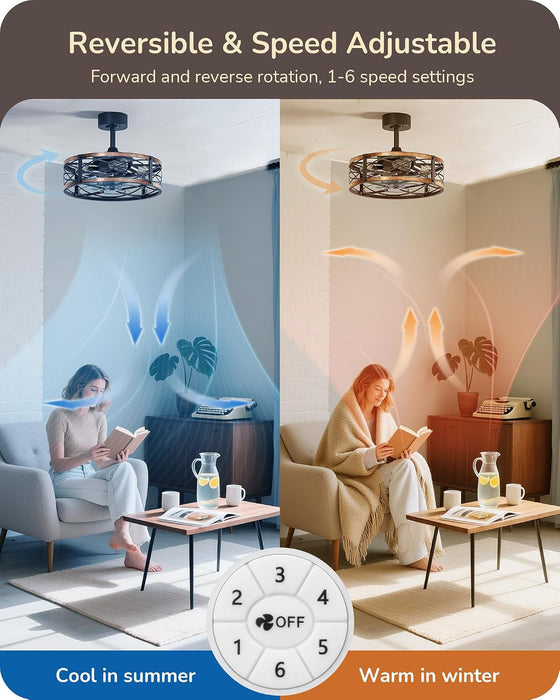 20 Inch Fandelier Caged Ceiling Fans with Lights and Remote