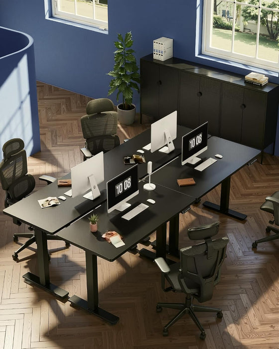 FLEXISPOT EN1 One-Piece Standing Desk, Electric Adjustable with 4 Memory Presets, 176 LBS Capacity, Stable & Quiet, Seamless Desktop for Home Office & Dual Monitors, 60"X24" Black