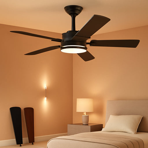 48 Inch Ceiling Fans with Lights and Remote, Black Ceiling Fan with 8 Dual-Color Blades, Indoor/Outdoor Large Ceiling Fans, Reversible DC Motor, 6-Speed, 3CCT for Living Room Kitchen Patio