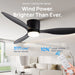 Modern Ceiling Fan with LED Light DC Motor Large Air Volume Remote Control for Kitchen Bedroom Dining Room Patio