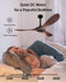 Ceiling Fan No Light, 52 in Outdoor Ceiling Fans with Remote Control without Light, 3 Blades, 6 Speed Reversible DC Motor Modern for Patios, Kitchen, Bedroom, Porch