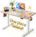 One-Piece Standing Desk, 48"X24" Seamless Tabletop Electric Height Adjustable for Home Office, Study Rooms & Multi-Device Workstations, Maple