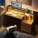 55 Inch Wood Computer Desk with Lockable File Drawer, Charging Station & LED Lights - Home Office Desk with Storage Shelves, Printer Shelf & Monitor Stand, Wooden Desk for Study & Work, Walnut