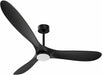 Modern 60 Inch Black Ceiling Fan With Remote Control