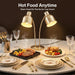 Golden Restaurant Warmer Dual Bulbs 500W Luminaire