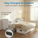 Queen MurphyStyle Cabinetry Bed USB Charging Station