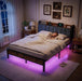 Queen Size Bed Frame with Storage Headboard, LED Lights
