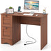 Computer Desk with 2 Drawers, 43” Wooden Home Office Desk with Charging Station, Compact Study Writing Desk, Modern Laptop PC Desk Workstation for Bedroom, Living Room (Walnut) - ShipItFurniture