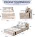 Convertible Folding Sofa Bed with High - Density Foam - ShipItFurniture