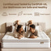 Twin Mattress 12 Inch Hybrid Mattress in a Box with Memory Foam and Individual Pocket Springs, Medium Firm Twin Size Bed Mattress for Motion Isolation and Pressure Relief, Certipur-Us