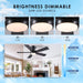 46 Inches Black Ceiling Fan With IntegratedLEDLighting