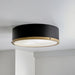 Irving Park 2-Light Flush Mount, Matte Black Finish, Burnished Brass Accents, Frosted Glass Shade, LED Bulbs Included