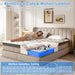 Queen Mattress 12 Inch, Hybrid Mattress, Medium Firm for Back Support