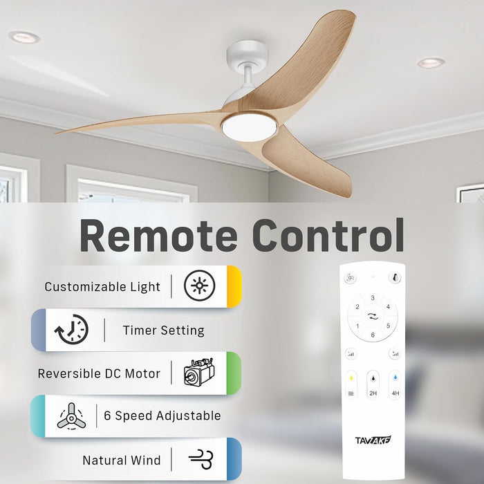 Contemporary 42 Inch Brushless Ceiling Fan Control