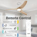Contemporary 42 Inch Brushless Ceiling Fan Control