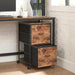 Mobile Printer Stand with 2 Drawers, File Cabinet for Home Office
