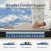Queen Mattress, 12 Inch Queen Size Mattress in a Box, Pocket Spring