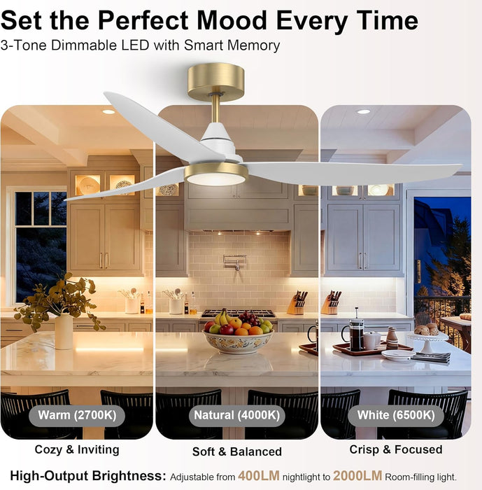 54" Ceiling Fan with Light & Remote Control, Quiet Reversible DC Motor, 6-Speed, 3CCT Dimmable LED, Indoor Ceiling Fans for Bedroom Living Room Dining, by GRANDJOY