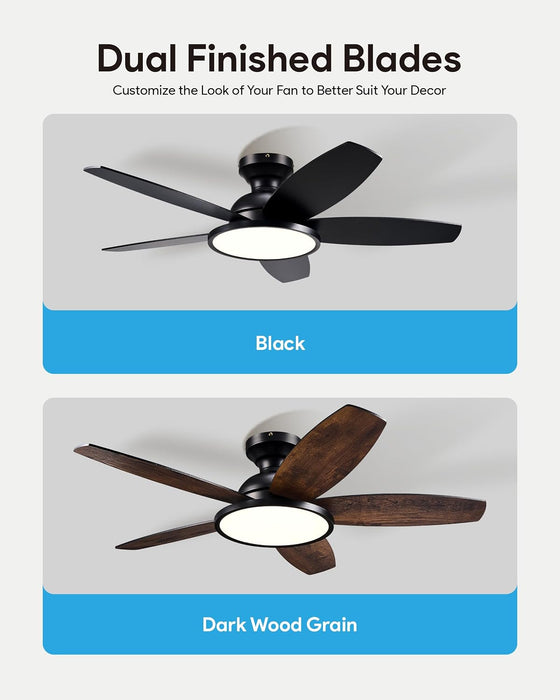 Contemporary 42 Inch Anthracite Indoor Ceiling Fan