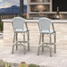 French Bar Stools Set of 2 Champagne Print Finish Outdoor Bar Stools with Back Rattan 27'' Patio Bar Stool for Pool Garden Kitchen Outdoor Barstool, White&Grey