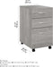Bush Business Furniture Studio C 3 Drawer Mobile File Cabinet in Platinum Gray | Assembled Office Storage Unit for Home or Commercial Spaces