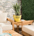 Melrose 5 - Piece Teak Sofa Seating Group with Cushions