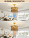 Boho Fandelier Ceiling Fan with Light and Remote Rattan Chandelier Fan Gold Caged Ceiling Fan with Light for Bedroom, Living Room Nursery Foyer Kitchen（6 Speed, Timing Adjustable Height）