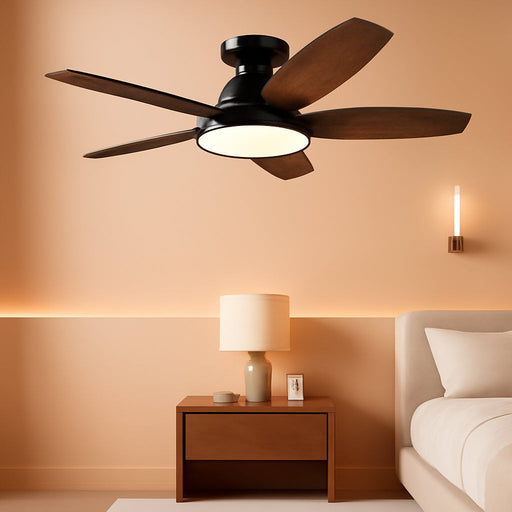 Contemporary 42 Inch Anthracite Indoor Ceiling Fan