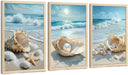 Triptych Coastal Shell Pearl Framed Canvas Wall Art 20X30 Inch X3 | Wooden Frame, Uv-Resistant Ink, Giclée Printing Process, Pre-Installed Hooks Make It Easy to Hang Home or Office Wall Decor