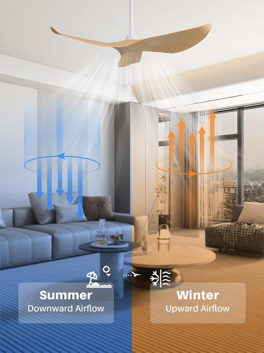 Contemporary 52 Inch Silent Reversible Ceiling Fan