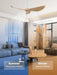 Contemporary 52 Inch Silent Reversible Ceiling Fan