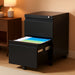 2 Drawer Vertical File Cabinet with Lock, Mobile Metal Filing Cabinet for Legal/Letter Size, Office Storage File Cabinet under Desk, Fully Assembled except Wheels, Black