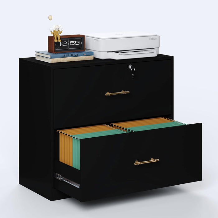 2 Drawer Lateral File Cabinet with Lock, Suitable for Letter/A4/F4/Legal Size Hanging Files,Large Wood Filing Storage Cabinets Printer Stand for Home Office,Black