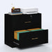 2 Drawer Lateral File Cabinet with Lock, Suitable for Letter/A4/F4/Legal Size Hanging Files,Large Wood Filing Storage Cabinets Printer Stand for Home Office,Black