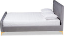 Nami Modern Contemporary Glam and Luxe Light Grey Velvet Fabric Upholstered and Gold Finished Queen Size Platform Bed