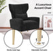 Black Velvet Wingback Chair Upholstered With Pillow