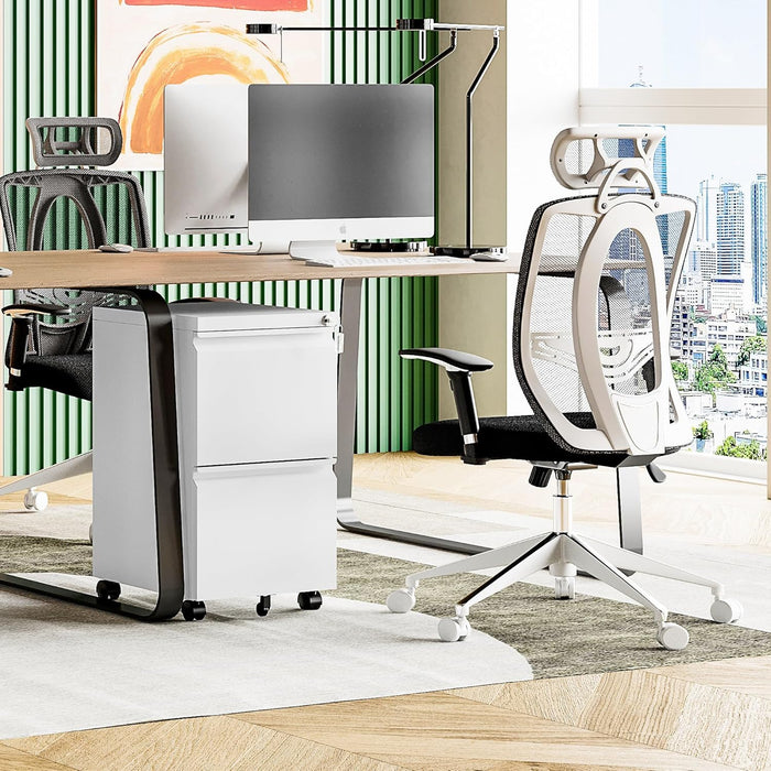 2 Drawer File Cabinet with Lock, Home Office Filing Cabinets on Wheels, under Desk 2 Drawers Storage for Legal/Letter/A4 Files,Fully Assembled