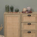 Atwood 3 - Drawer 2 - Door Accent Nature Rattan Cabinet