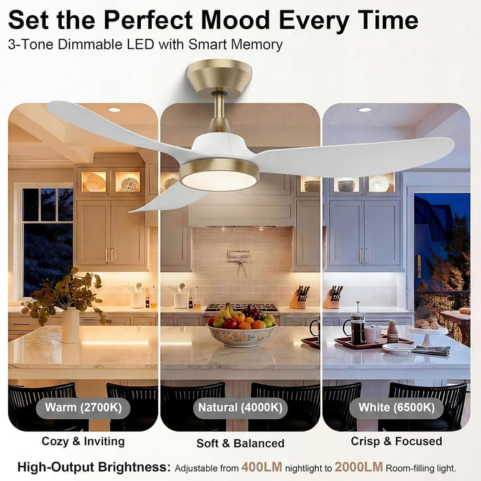 FortyTwoInches Contemporary Ceiling Fan With Dimmable LED