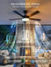 Cinoton 52 Inch Black Smart Ceiling Fan Wireless