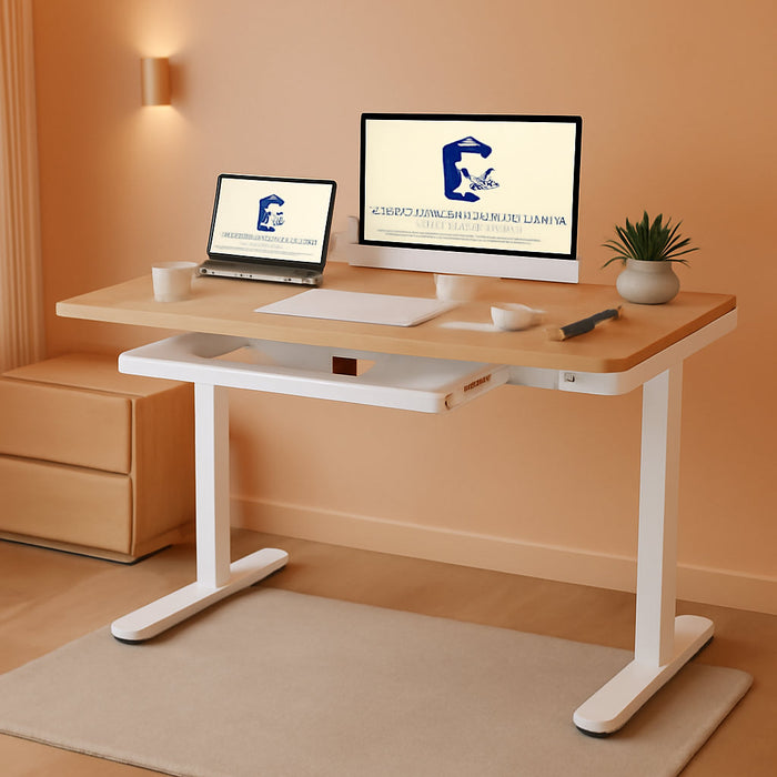 Comhar Electric Standing Desk with Drawers Charging USB Port, Height Adjustable 48" Whole-Piece Quick Install Home Office Computer Laptop Table with Storage (Maple Top + White Frame)
