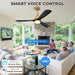 52 Inch Smart Ceiling Fan with Lights,Outdoor Ceiling Fan 3 Wood Blades Compatible with Alexa/Gg Voice Control&App&Remote,Quiet DC Motor for Covered Patio Porch Bedroom,Black and Gold