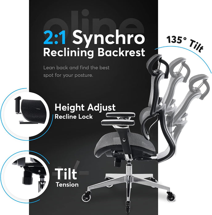 Ergopro Ergonomic Office Chair, Rolling Desk Chair with 4D Adjustable Armrest, 3D Lumbar Support, Blade Wheels, Mesh Computer Gaming Executive Swivel Chairs Chair (Black)