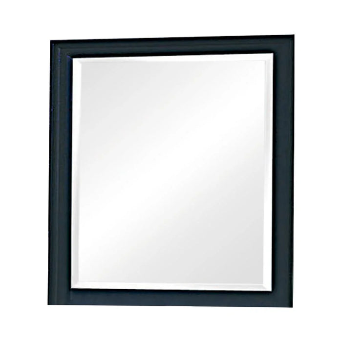 Dplus Vertical Dresser Mirror Black