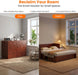 DeepMaroonShade Queen Murphy Bed Easy Assembly System