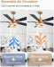 Contemporary Black Iron Reversible Fandelier Ceiling Fan