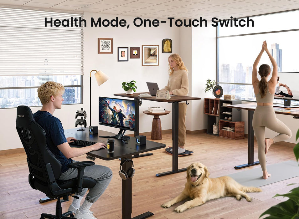 48 X 24 Standing Desk, Height Adjustable Electric Computer Desk, Sit Stand up Home Office Workstations, Rustic Brown