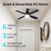 52 Inch Ceiling Fan with Lights, Modern Black Ceiling Fan, Remote Control, Quiet Reversible DC Motor, Flush Mount, Dimmable 3CCT LED Light, Double Finish Blade, for Indoor Bedroom Living Room